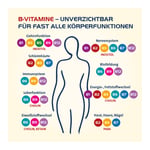 Vitamin B Complete Hevert All-in-One Produktbild 3