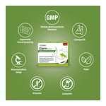 Dr.Böhm Darm aktiv Pulver