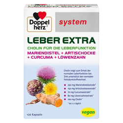 Doppelherz Leber Extra System