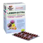 Doppelherz Leber Extra System