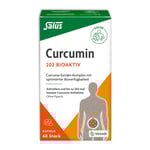 Curcumin 202 Bioaktiv Salu