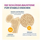 Vit D3 Hevert Osteo Pro Produktbild 3