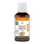 Ingwer Ginjer Forte Tropf Produktbild 1