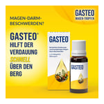 Gasteo Fle