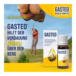 Gasteo Fle