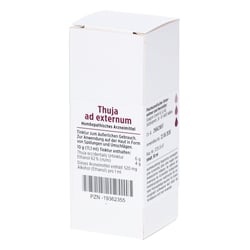 Thuja Ad Externum