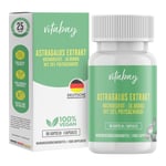 Astragalus Extra 10.000 mg Produktbild 1