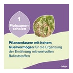 ONLIGOL Fiber Pulver Produktbild 8