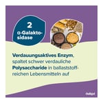 ONLIGOL Fiber Pulver Produktbild 9