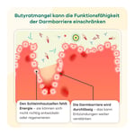 Butyzol mikroverkapseltes Natriumbutyrat Apriwell Hartkapseln Produktbild 5