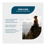 MSM 4000 vegan Kapseln Produktbild 2