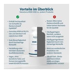 MSM 4000 vegan Kapseln Produktbild 4