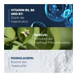 DUCRAY ANAPHASE Shampoo b.chronischem Haarausfall