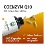 Green Naturals Coenzym Q10 Produktbild 2