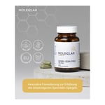 MoleQlar Spermidin PRO