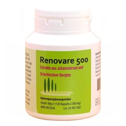 Renovare 500