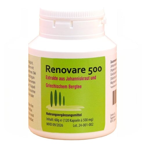 Renovare 500