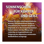 Green Naturals Johanniskra Produktbild 4