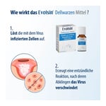 EVOLSIN Dellwarzen Mittel Lösung