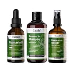 ROSMARIN HAARKUR m.Rosmarinöl+Wasser+Shampoo Set