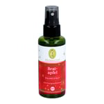 BRATAPFEL Raumspray Bio