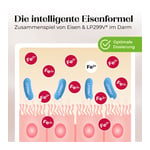 DÖDERLEIN Ferro Biotic Eisen+Milchsäurebakt.Kaps. Produktbild 5