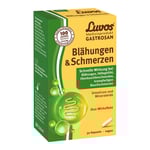 LUVOS Gastrosan Blähungen & Schmerzen Kapseln