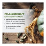 Dr. Böhm Kürbis für den Mann Tabletten Produktbild 5