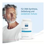 AGE-IN-FORM Longevity Kapseln Produktbild 2