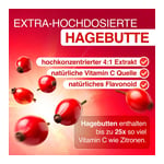 GELENCIUM Kollagen Hagebutte Direkt-Sticks+Vit.C Produktbild 5