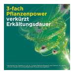 Meditonsin Extract Pflanzliche Erkältungstabletten