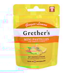 GRETHERS Ginger Lemon zuckerfrei Past.Mini Beutel