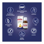 DR.BÖHM Omega-3 Öl Complex