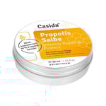 PROPOLIS SALBE intensiv Repair & Protect