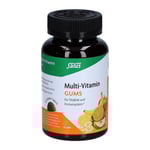 MULTIVITAMIN GUMS
