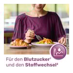 GLYCOWOHL Blutzucker Balance m.Reduc.&Chrom Sticks