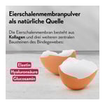 pureSGP Kollagen Peptide Multi Formula