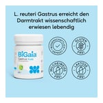 BIGAIA Gastrus PURE Kapseln