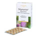 SILYMARINE Mariendistel Leber-Vital-Kapseln plus Produktbild 4