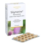SILYMARINE Mariendistel Leber-Vital-Kapseln plus Produktbild 3