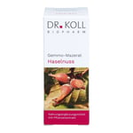 GEMMO-MAZERAT Haselnuss Dr.Koll Corylus avell.Tro.