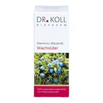 GEMMO-MAZERAT Wacholder Dr.Koll Juniperus com.Tro.