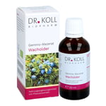 GEMMO-MAZERAT Wacholder Dr.Koll Juniperus com.Tro.