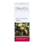 GEMMO-MAZERAT Eiche Dr.Koll Quercus peduncul.Tro.