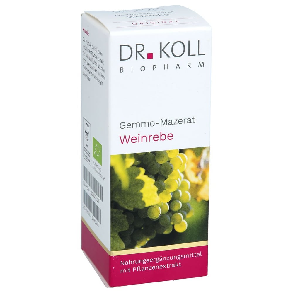 GEMMO-MAZERAT Weinrebe Dr.Koll Vitis vinifera Tro.