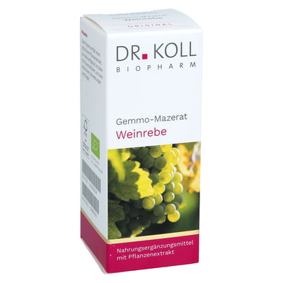 GEMMO-MAZERAT Weinrebe Dr.Koll Vitis vinifera Tro.