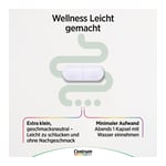 CENTRUM Vital+ Darm & Energie Kapseln