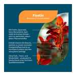 Fisetin+Quercetin+Spermidin+Vitamin B3 vegan