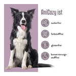 ANICOZY Vitamin B1+B2+B3+B6+B12+Zink Pulver vet. Produktbild 3