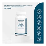 MYKO-KOMPLEX Reishi+Maitake+Vitamin C Kapseln